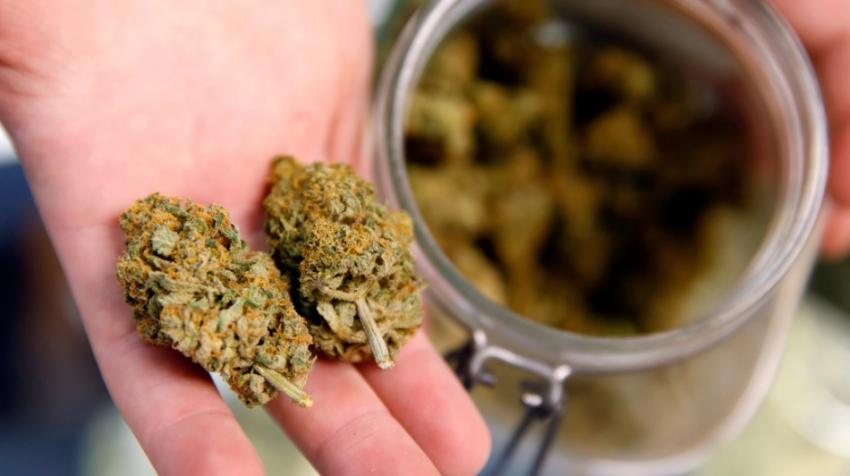 Доходы американского штата Колорадо после легализации марихуаны выросли на 1 миллиард долларов. 