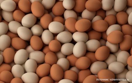 Ценой человеческой жизни стала известна смертельная доза куриных яиц