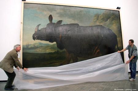 Самый знаменитый носорог восемнадцатого столетия