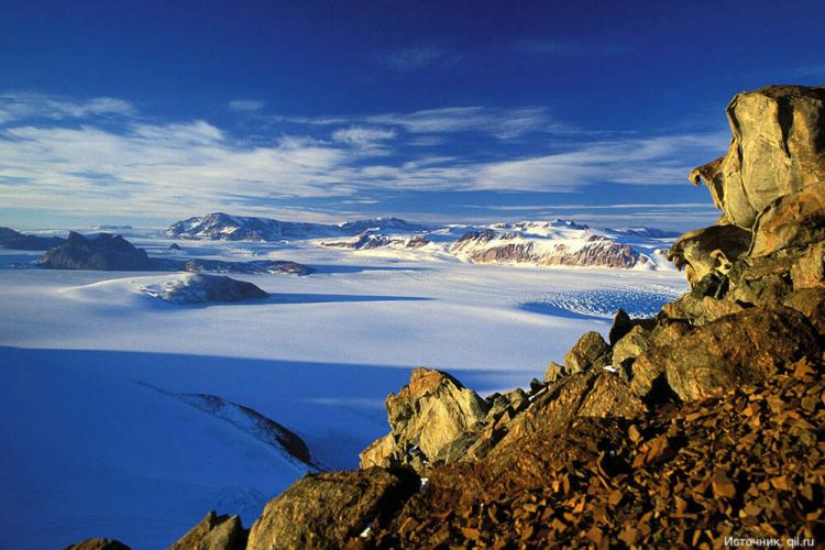 Антарктические просторы – единственные на планете, которые не могут похвастаться наличием лугов