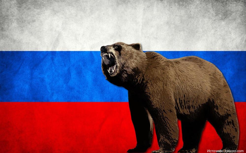 Россияне назвали медведя наиболее подходящим символом государства