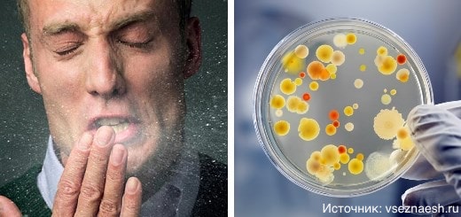 10 впечатляющих фактов о местах обитания бактерий и вирусов